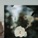 태백결혼재혼중매사무소 | 결혼정보업체가격 가연 만남 성공 후기