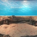 울진왕돌초 이미지