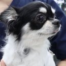 연이 메디칼 네이버블로그