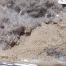 피오레세탁 이미지