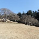 양정1동-28 이미지