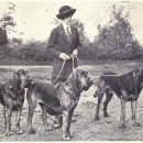 하운드PC 이미지