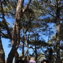 하늘마당 이미지