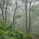 구)울릉중학교 이미지