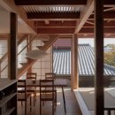 stadium of dogs 이미지