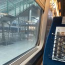 홍실생고기 | 목포 찍먹 여행 후기