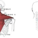 바디로그필라테스 - 김포시 김포한강11로 133 | 바디로그필라테스