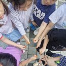 파주대원초교(병설) 이미지