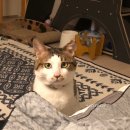 동산슈퍼 이미지