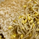 송천콩나물국밥 이미지