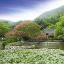 조선시대 고택(故宅) 속 연지(蓮池) 석가산(石假山)