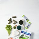 덴탈코리아 이미지