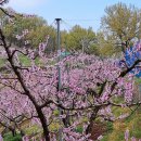 대지농장 이미지