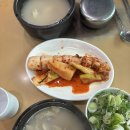 양지-3569 | (일산 탄현동 맛집)유일설렁탕 일산 숨겨진 37년 전통 설렁탕 찐 맛집 차돌설렁탕, 도가니 수육 후기