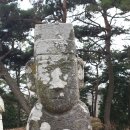 화순 양이재 Daum카페
