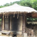 참나무쟁이 이미지