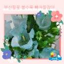 필;꽃