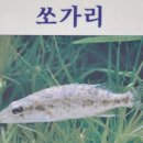 맥도생태공원 이미지