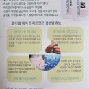 쵸이셀