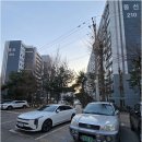 부동산친구 공인중개사사무소 | 정자동 당신의 믿을 수 있는 파트너, 수원 정자동 공인중개사와 함께하는 부동산 이야기
