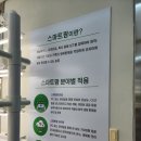 스마트팜 | 한강 스마트팜 체험 후기! 도심 속에서 만난 푸른 수경재배와 채소 수확