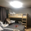 Y's house