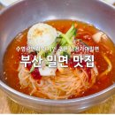 남천가야밀면 | 부산 광안리 맛집 수영 현지인 추천 밀면 남천가야밀면 내돈내산