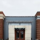 베벌리 도그 이미지