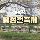 충남 홍성 홍성천 벚꽃 축제정보 일정표 주차 홍성천벚꽃에물들다 다녀온 후기 당일치기여행지추천