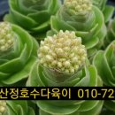 화춘농장 이미지