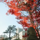 협성대학교 웨슬리신학대학원 이미지