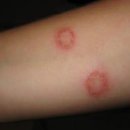 성수 숲속 피부과 동물병원 이미지