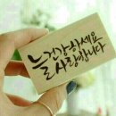 한누리 태권도 이미지