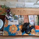 DG481펜션2 | 경남 밀양 독채 펜션 디지 481펜션2 감동을 주는 펜션