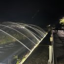 마음애고향 이미지