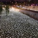 장미정원 이미지