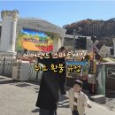 배다리어린이집 | 2026 에버랜드 스마트예약 취소 환불 규정/소인 종일권 당일취소 상담 후기