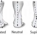 헬로우PT 이미지