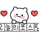 고메팔레스 이미지