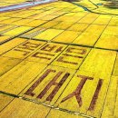 오계농장 이미지