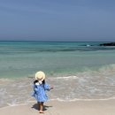 제주리브 이미지