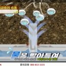 화분들닷컴 이미지