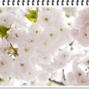 은율한의원 이미지