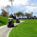 돌고래게임장 이미지