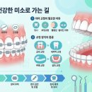 송파다인치과의원 | 송파 문정동 연세플라워치과의원 교정 상담 받으러 방문해본 후기