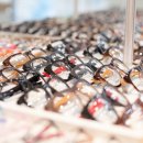 안경갤러리 이미지