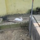 인복농장 이미지