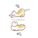 베트남 쌀국수! 취향대로~ 쌀국수 분짜 팟타이 gif. 이미지