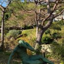 고흥-10호 이미지