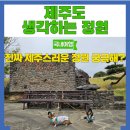 생각하는 정원 | 제주도 서쪽 코스 생각하는 정원 제주도 부모님 여행코스 강아지 동반 가능 후기